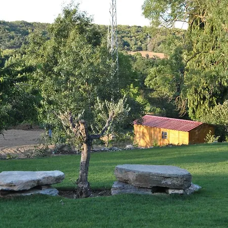 Alformil *