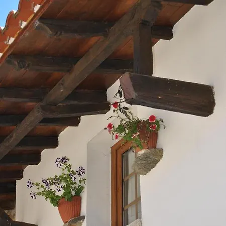 Alformil *