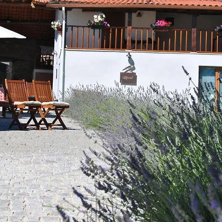 Alformil Farm stay Braganca